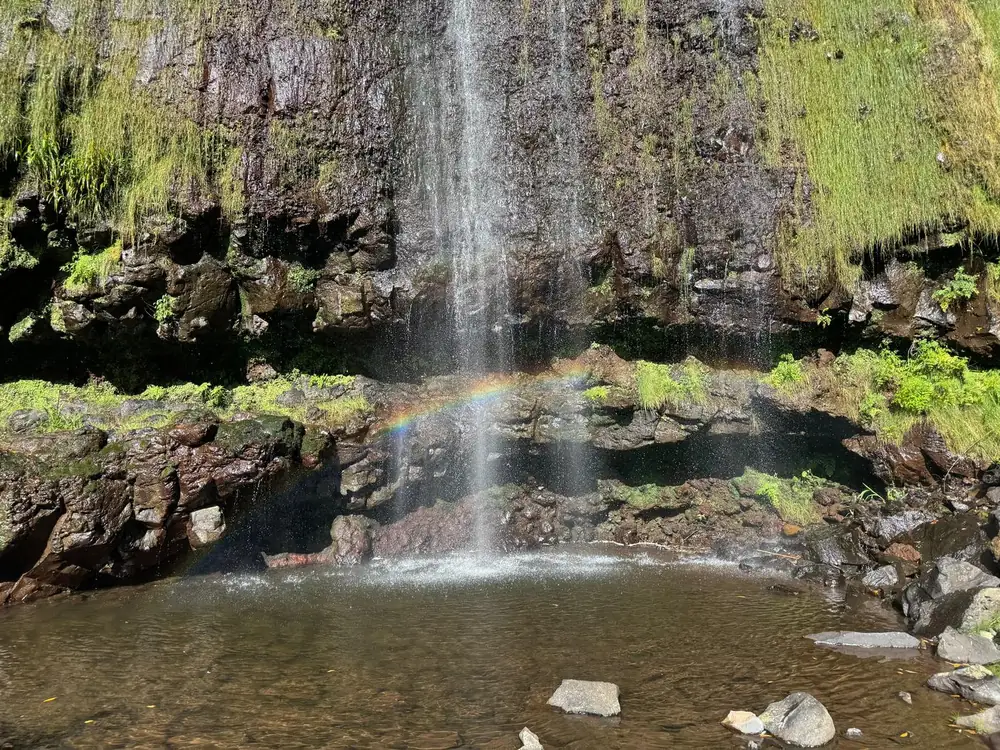 Emerald Forest waterfall cascade