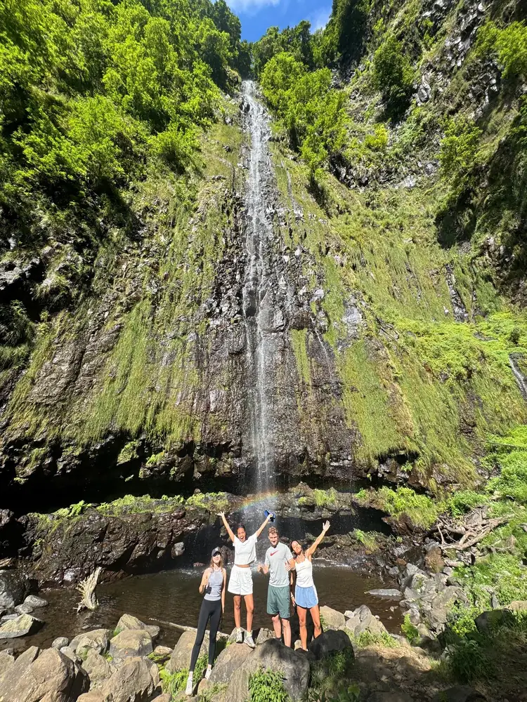 Emerald Forest waterfall surrounded by greenery