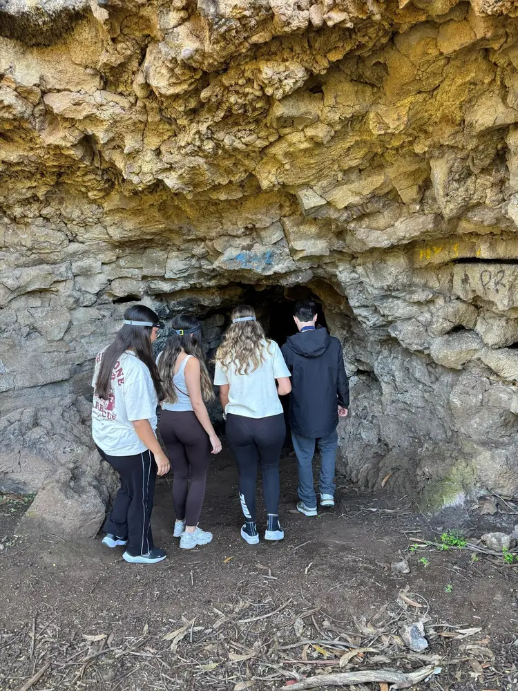 Emerald Forest coastal cave stop