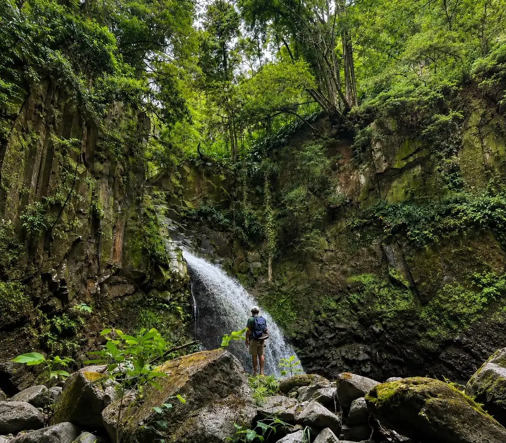 Hidden Waterfall surrounded by Laurissilva forest