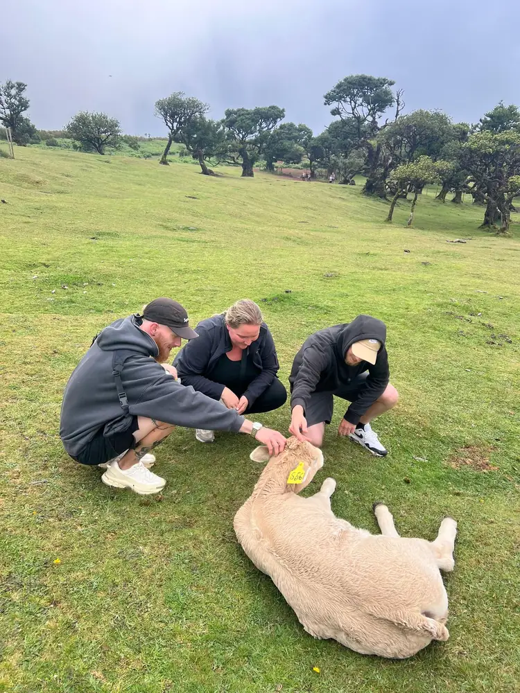 Mountain to Waves guests meeting farm animals