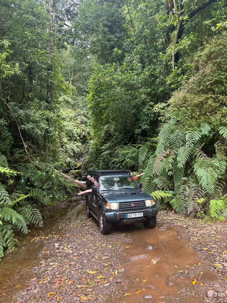 Mountain to Waves 4x4 crossing a forest stream