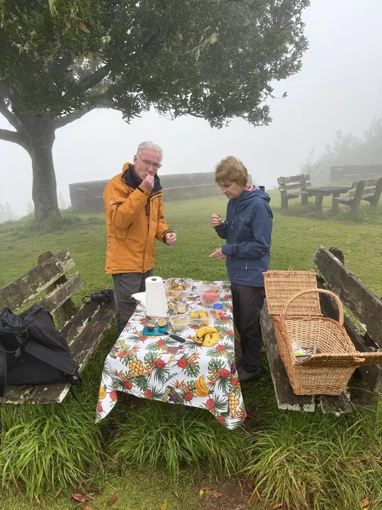 Private Island Tour picnic in misty forest