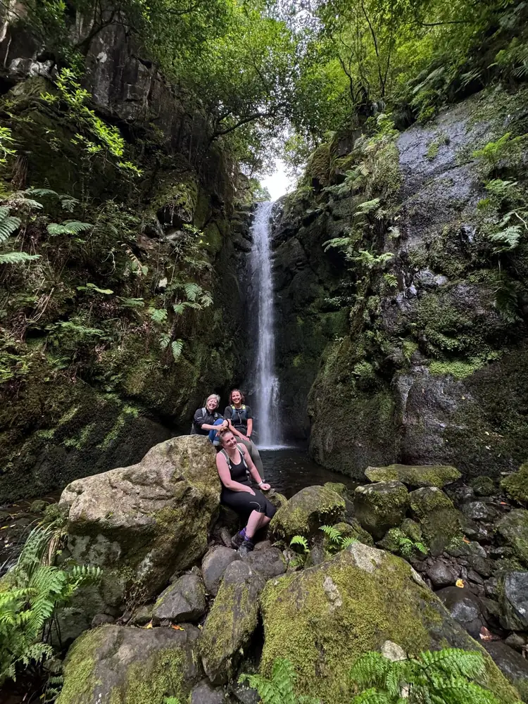 Poço das Pulgas waterfall and mossy rocks