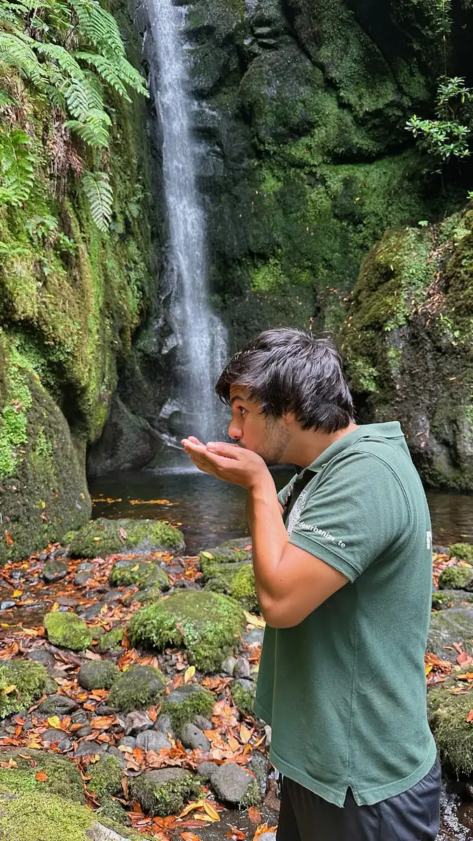 Poço das Pulgas rocky stream and Laurissilva greenery