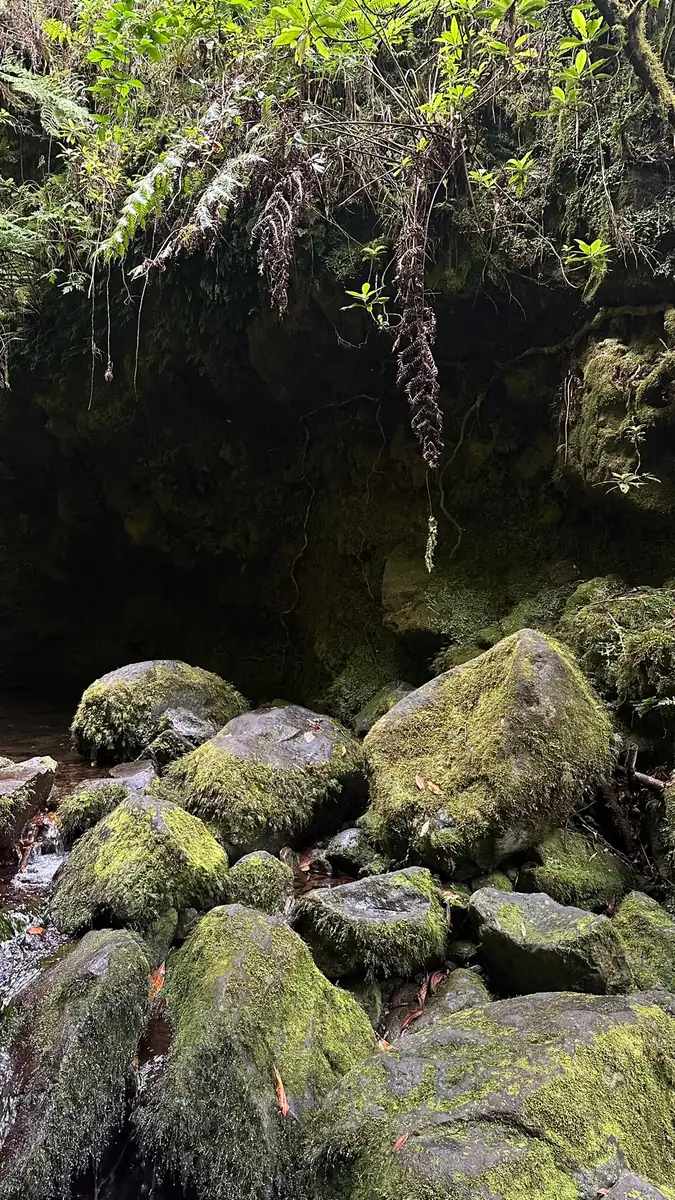 Poço das Pulgas forest hike through wet stones