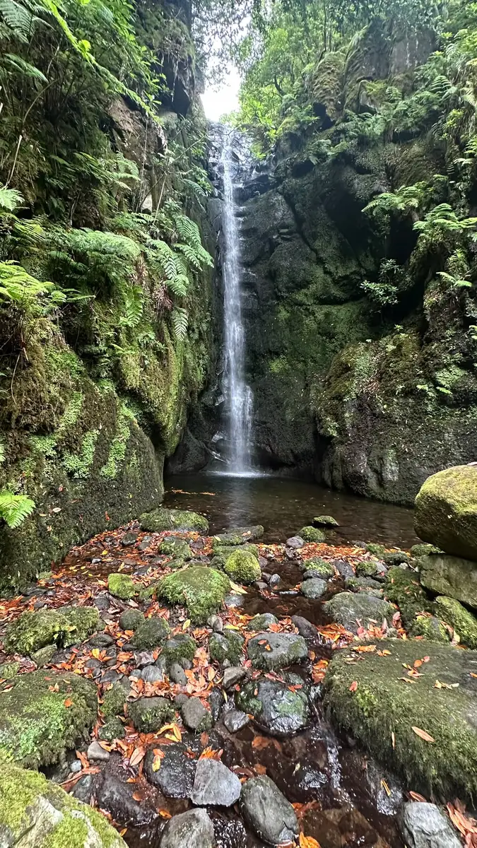 Poço das Pulgas natural pool and forest stream