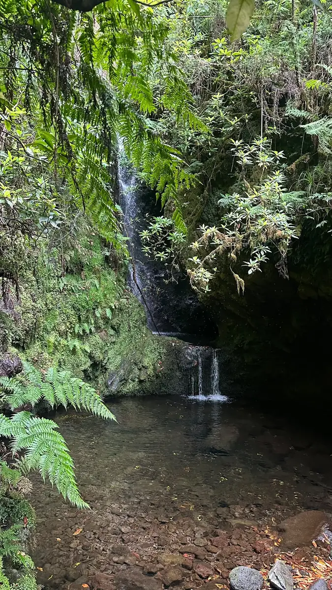 Poço das Pulgas waterfall framed by lush vegetation