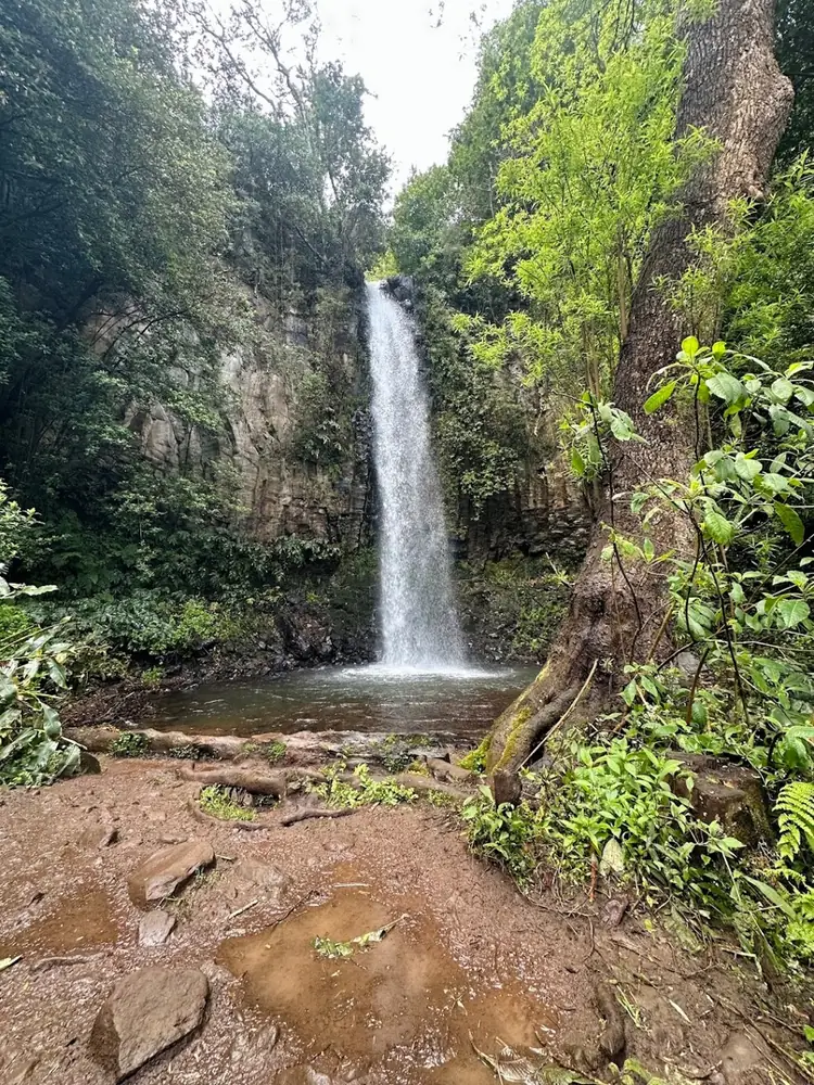 Jarimba Noite review photo of a Madeira waterfall
