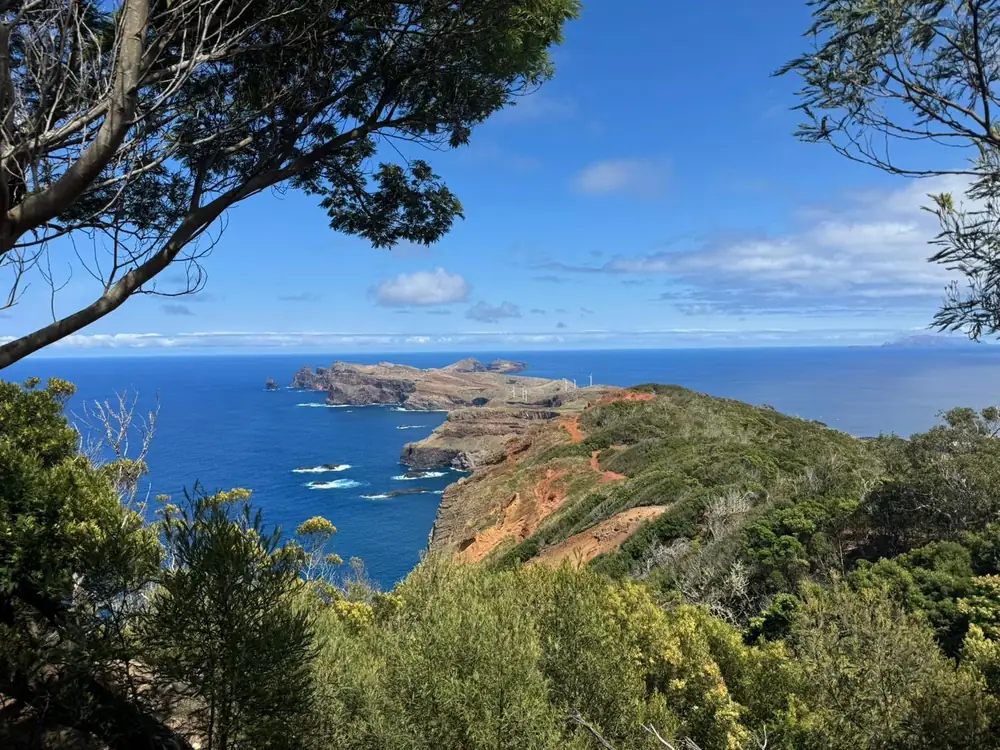 Secrets of the City coastal viewpoint