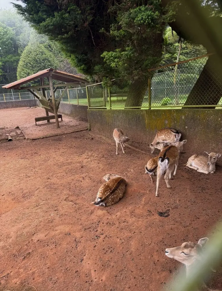 Secrets of the City deer park stop