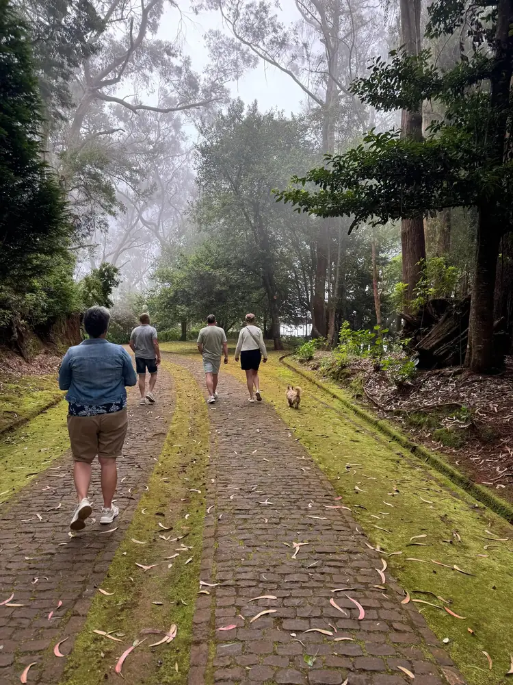 Secrets of the City misty garden walk