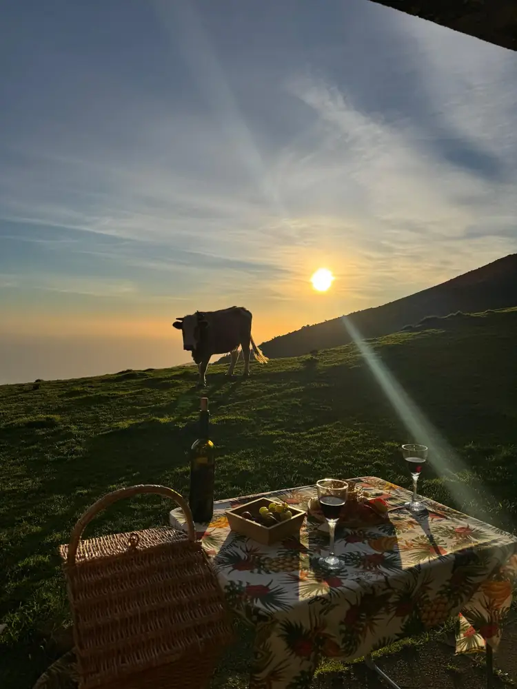 Private Sunset picnic basket and cow silhouette